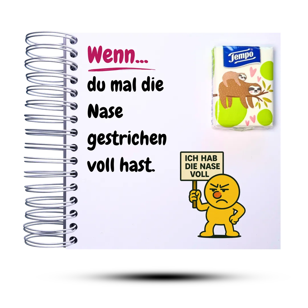 Wenn-Buch Klassiker Vol.2