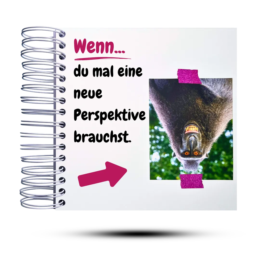 Wenn-Buch Klassiker Vol.2